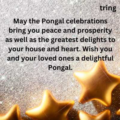 Pongal Wishes In English