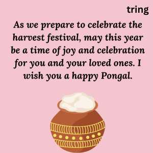 happy pongal wishes and greetings 2023 (9)