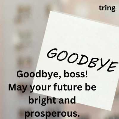 Short Farewell Message For Boss