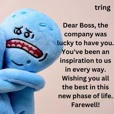 Farewell Message For Boss 