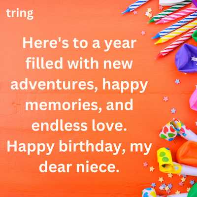 Touching Birthday Wishes For Niece