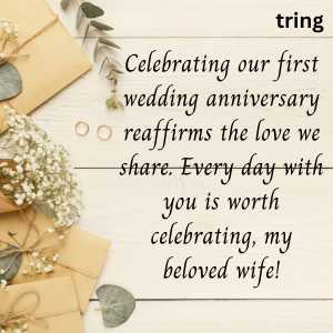 1st wedding anniversary for wife (10)