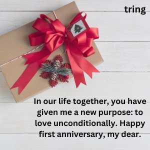 1st wedding anniversary for wife (3)