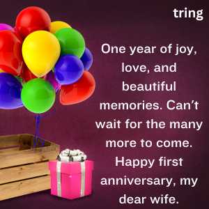 1st wedding anniversary for wife (4)