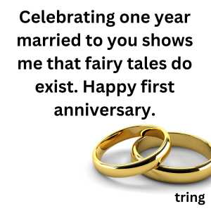 1st wedding anniversary for wife (5)