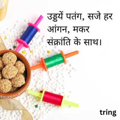 2 line Makar Sankranti Wishes In Hindi