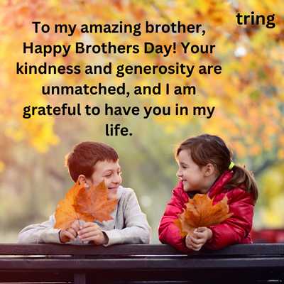 Brothers Day Wishes from Sister