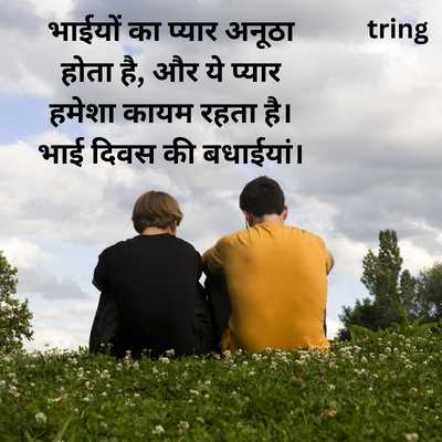 Happy Brothers Day Wishes In Hindi 