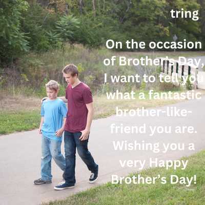 Happy Brothers Day Wishes For Friend 