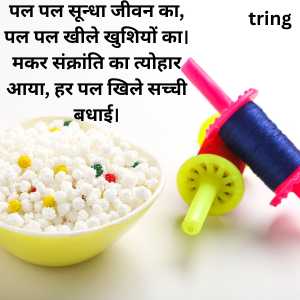 happy makar sankranti wishes in hindi