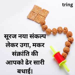 happy makar sankranti wishes in hindi