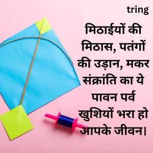 happy makar sankranti wishes in hindi