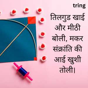 happy makar sankranti wishes in hindi