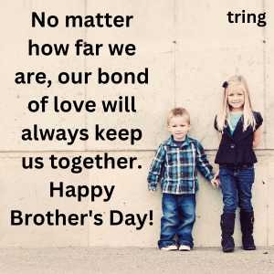 brothers day wishes from sister