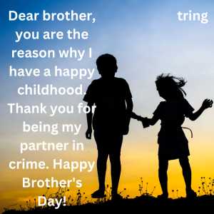 brothers day wishes from sister