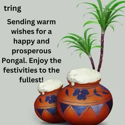 Latest Pongal Wishes 2024