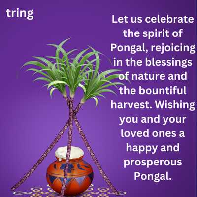 Happy Pongal Quotes 2024