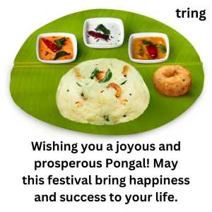 Pongal Wishes (4)