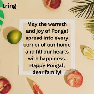 Pongal Wishes (7)