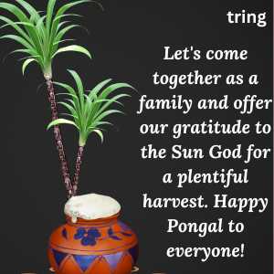 Pongal Wishes (8)