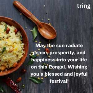 Pongal Wishes (1)