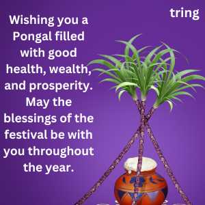 Pongal Wishes (10)