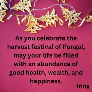 Pongal Wishes (3)