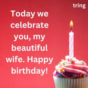 romantic birthday wishes for wife (5)