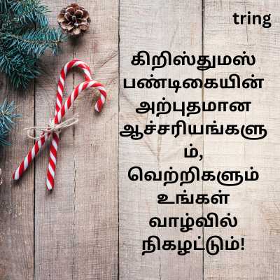 Christmas Wishes In Tamil For Friends