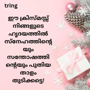 Christmas Wishes In Malayalam (3)