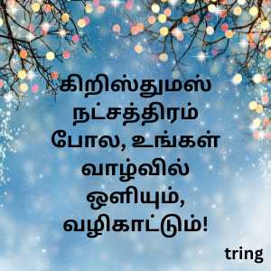 christmas wishes in tamil (6)