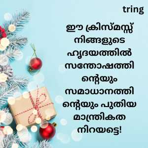 Christmas Wishes In Malayalam (6)