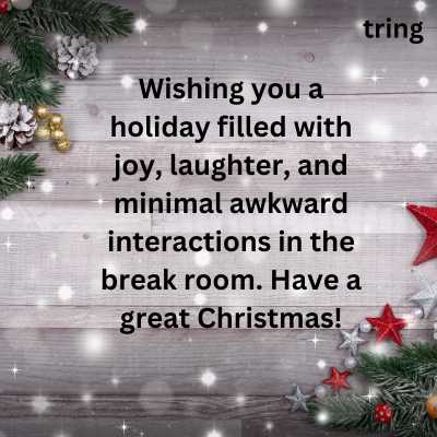 Funny Christmas Wishes for Coworkers