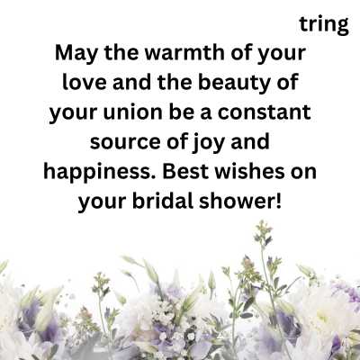 Heartwarming bridal shower wishes