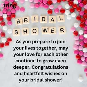 bridal shower wishes (2)