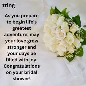 bridal shower wishes (9)