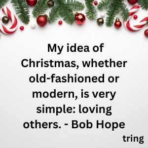 funny christmas quotes (7)