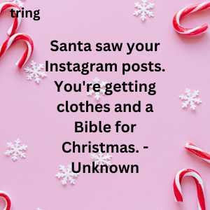 funny christmas quotes (8)