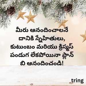 christmas wishes in telugu (10)