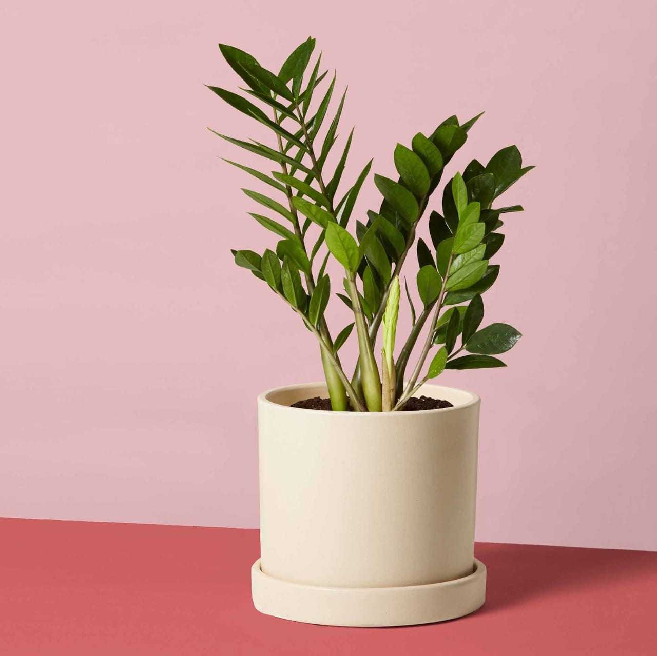 50+ Unique New Year Gift Ideas for Corporate