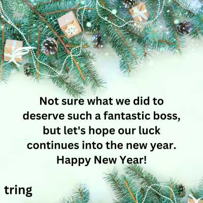 Humorous New Year Wishes For Your Boss