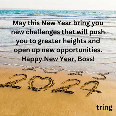 Happy New Year Wishes For Your Boss
