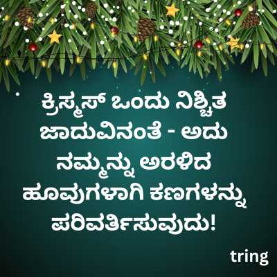 Christmas Quotes in Kannada