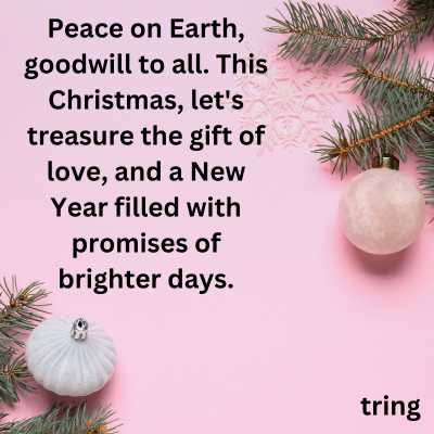 Christmas and Happy New Year Quotes For Holidays