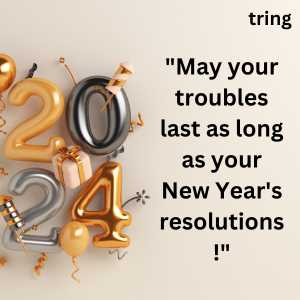 funny new year wishes (5)