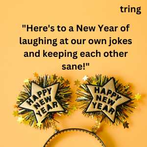 funny new year wishes (7)