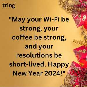 funny new year wishes (10)