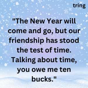 funny new year wishes (2)