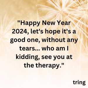 funny new year wishes (3)