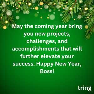 happy new year wishes for boss (2)